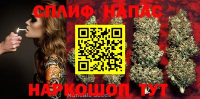 гашик Бугуруслан