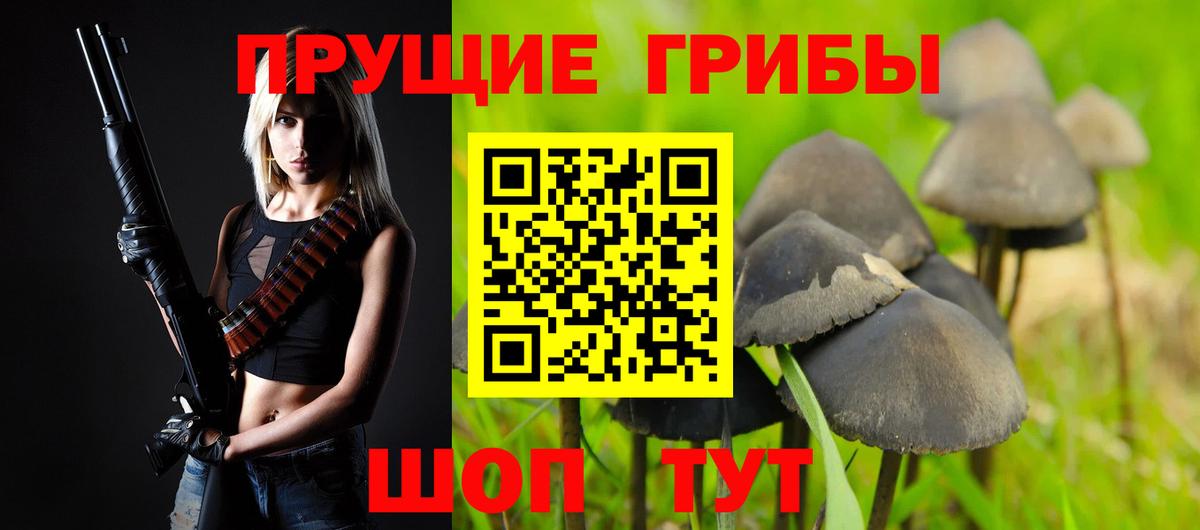продажа наркотиков  Галлюциногенные грибы Magic Shrooms  Вход с VPN  Новый Уренгой 